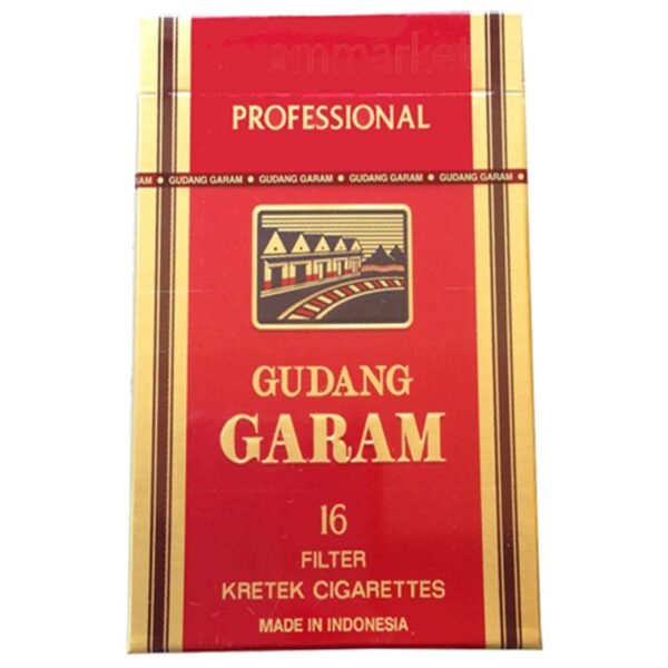 Gudang Garam Professional